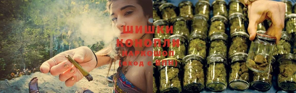 ешки Зеленодольск