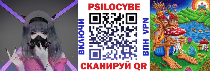 Купить где  Старица  Галлюциногенные грибы Magic Shrooms 
